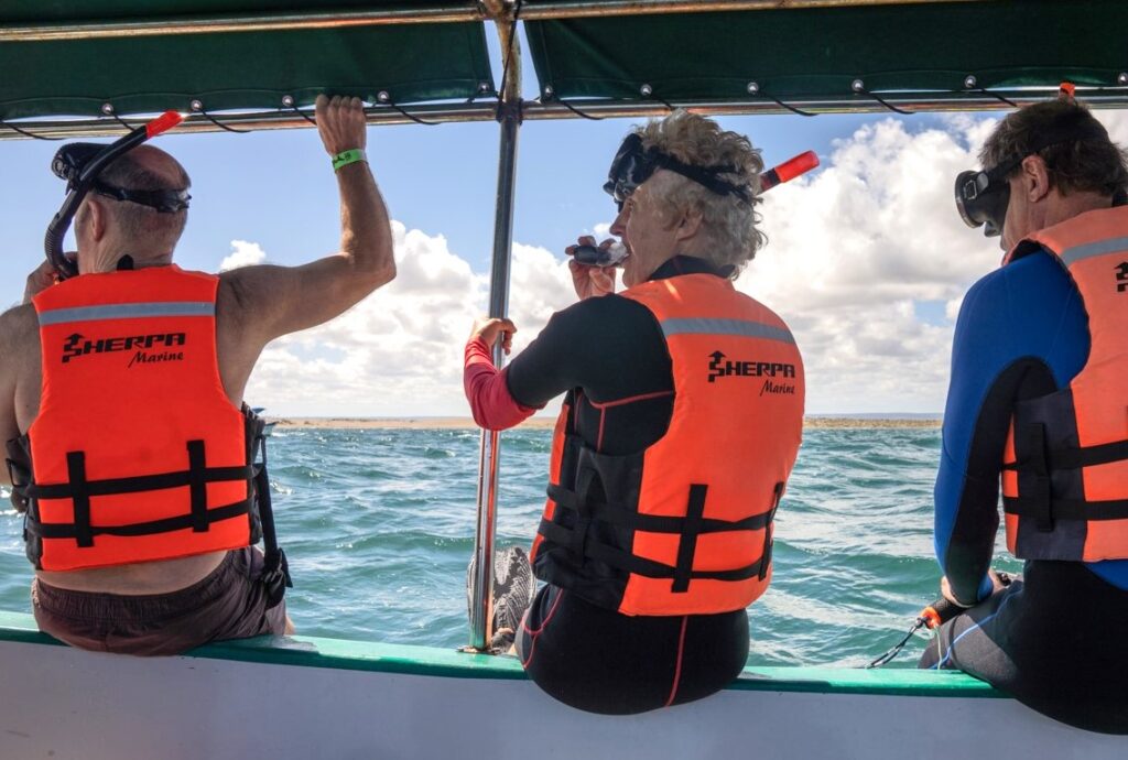Swimming with whale sharks in Baja California