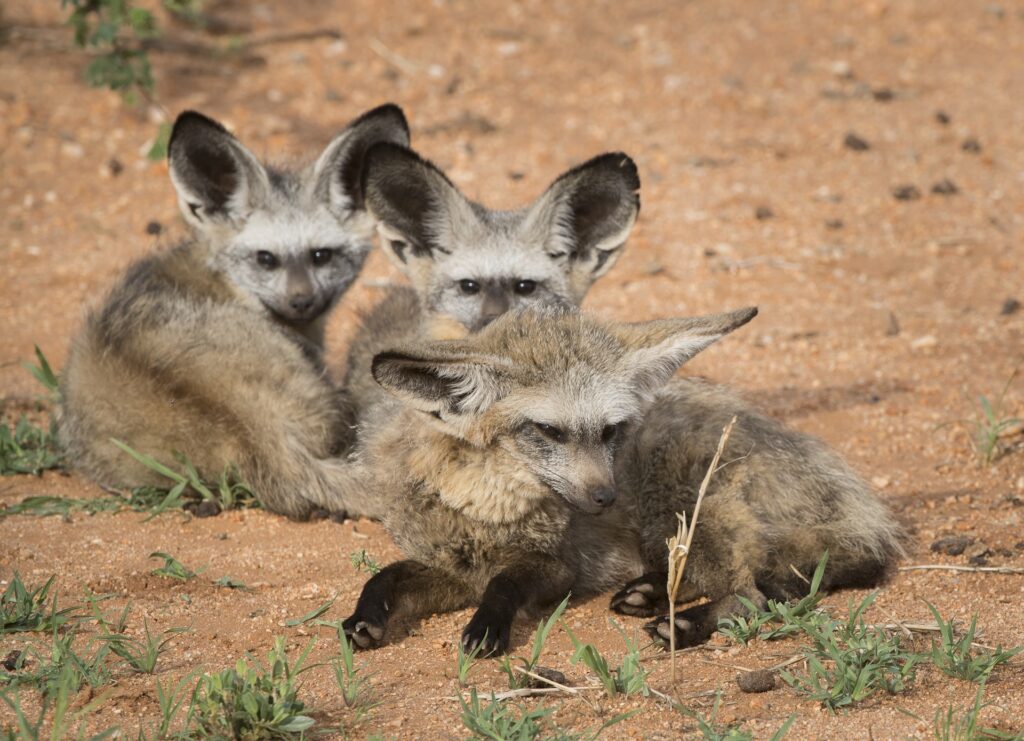 Namibia walking Safari