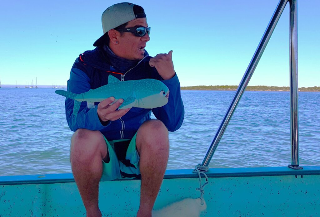 Swimming with Whale Sharks - Baja California