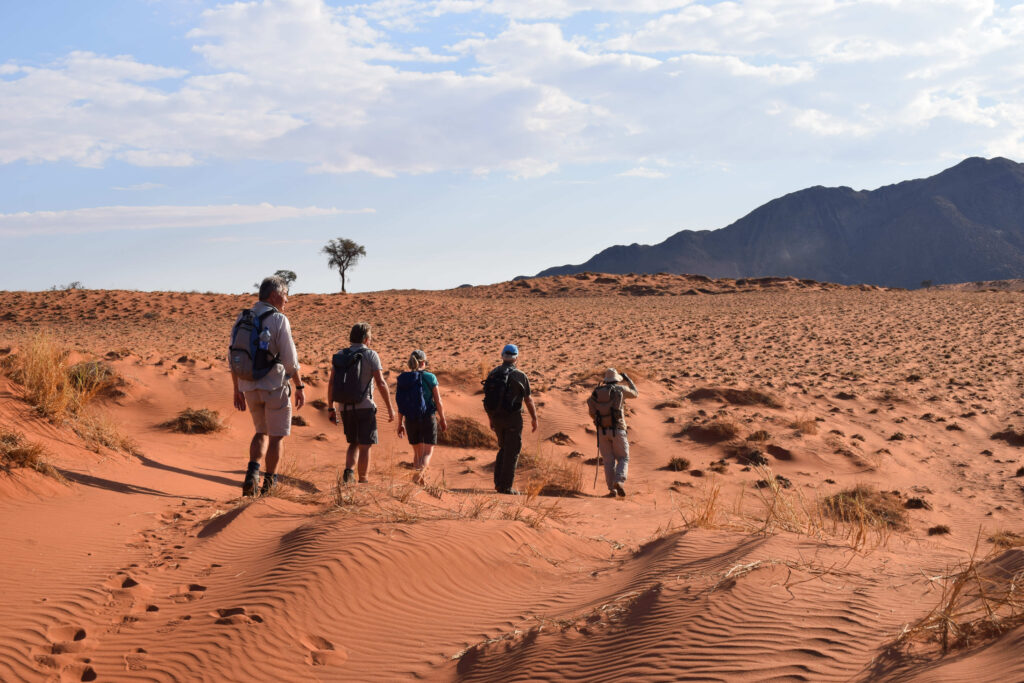 Tok Tokkie Trail Namibia