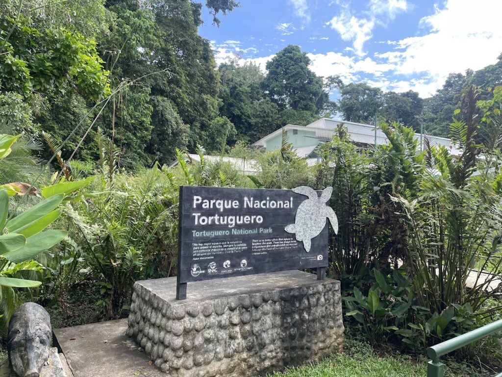 Tortuguero Nation Park - Turtles - Costa Rica