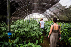 Top Five Things to do in Sao Tome and Principe