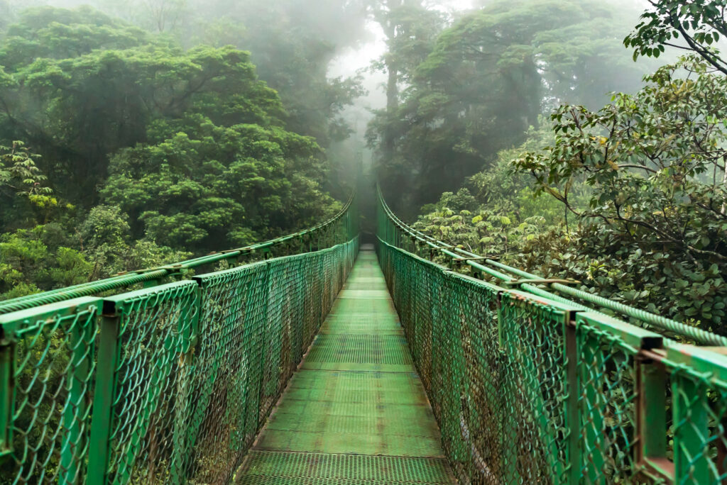 Treetop walkway - Costa Rica - iamjorge - Shutterstock.com