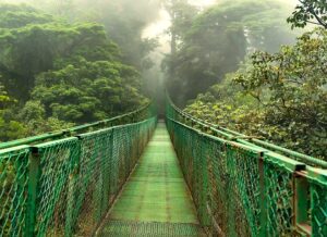 Best time to travel to Costa Rica