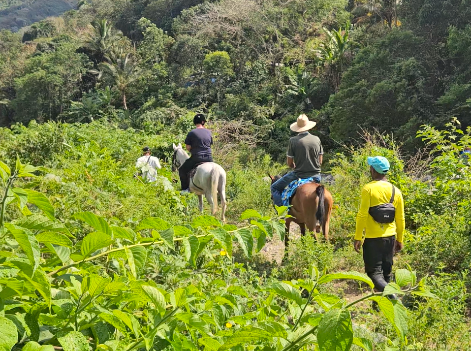 Cuba Horse Riding